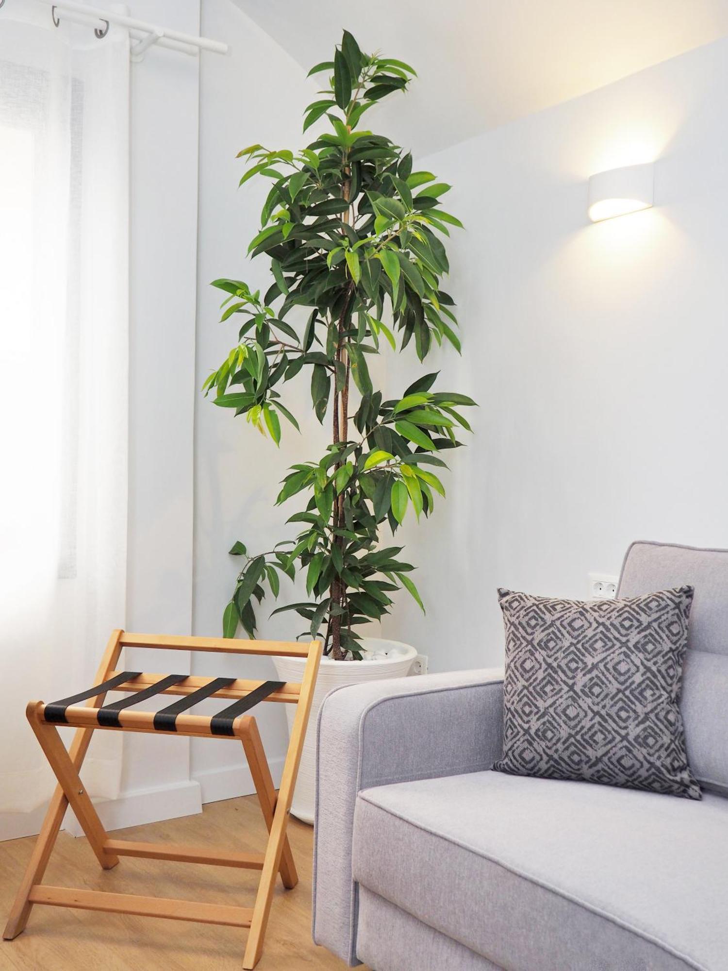 Times Elegant Rooms Ermoupoli Exterior foto